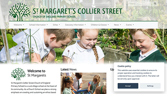 Collier Street Primary website screenshot